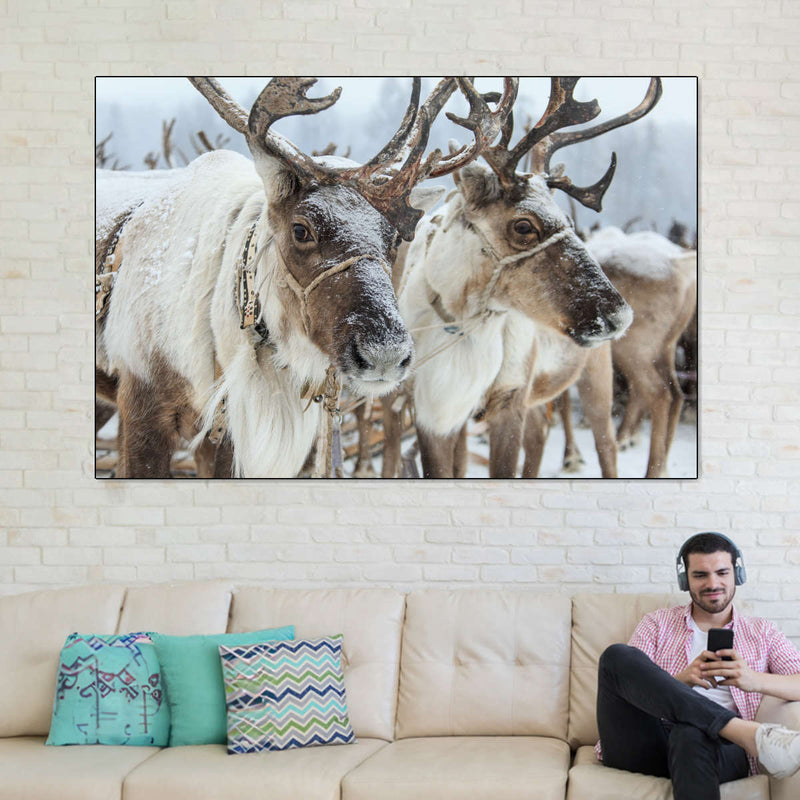 Snow Reindeer Wall Art