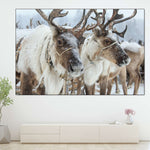 Snow Reindeer Wall Art