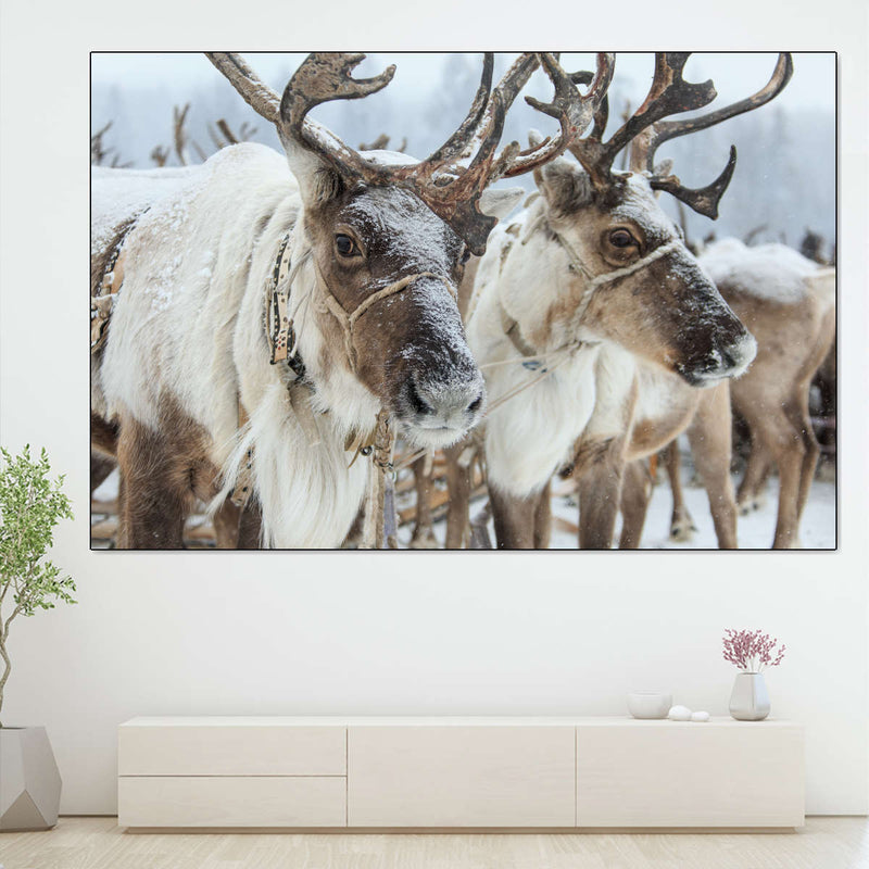 Snow Reindeer Wall Art