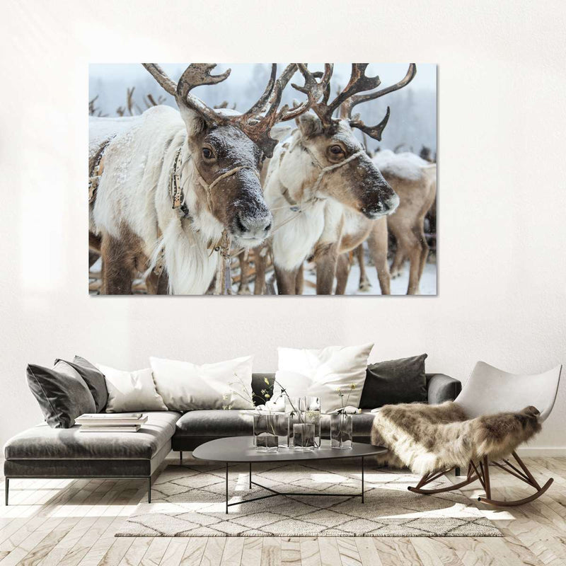 Snow Reindeer Wall Art