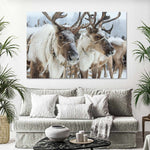 Snow Reindeer Wall Art