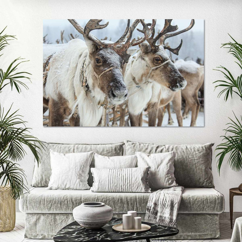 Snow Reindeer Wall Art
