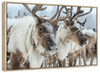 Snow Reindeer Wall Art