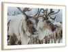 Snow Reindeer Wall Art