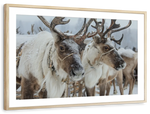 Snow Reindeer Wall Art