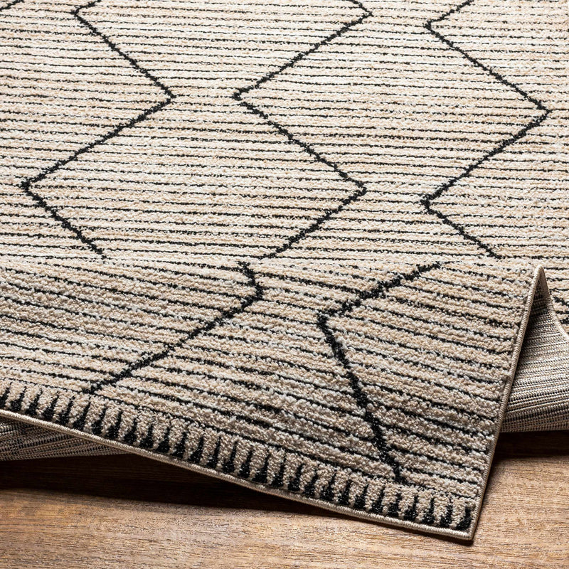 Maonon Area Rug