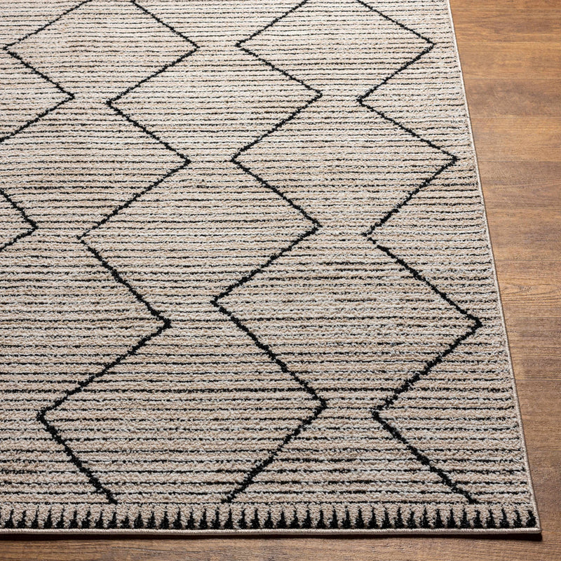 Maonon Area Rug