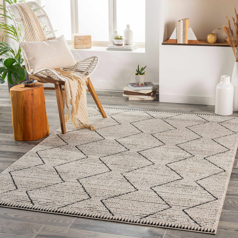 Maonon Area Rug