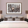 Great Horned Owl Wall Art