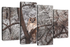 Great Horned Owl Wall Art
