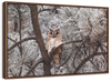 Great Horned Owl Wall Art