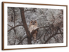 Great Horned Owl Wall Art