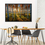 Swedish Birch Forest Wall Art