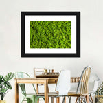 Green Reindeer Moss Wall Art