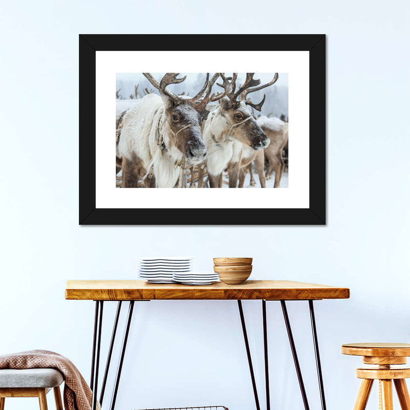 Snow Reindeer Wall Art