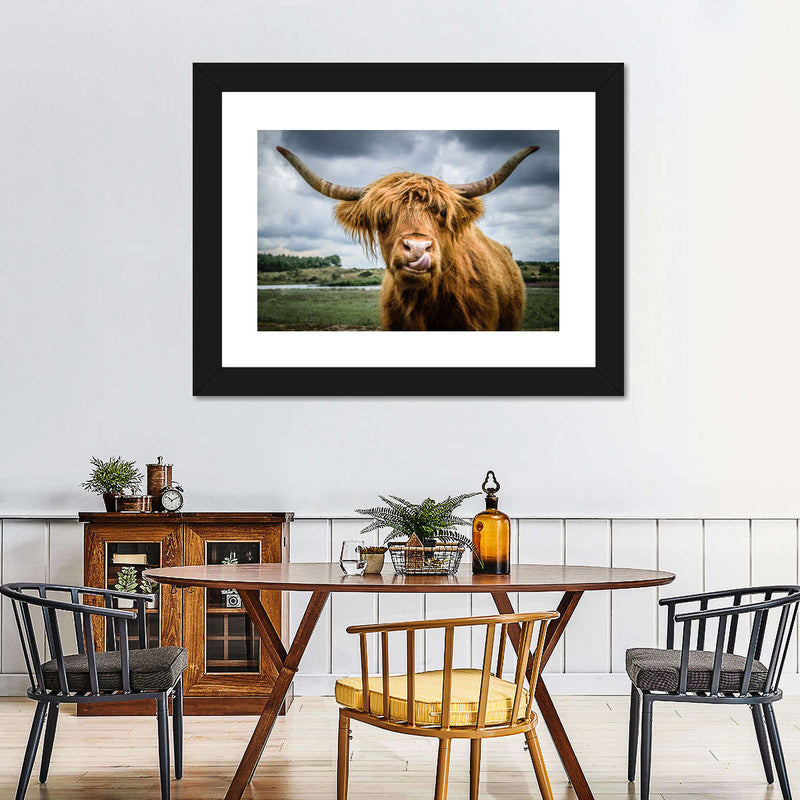 Silly Highland Cow Wall Art