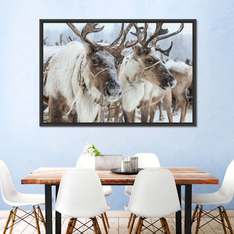 Snow Reindeer Wall Art