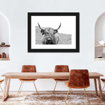 Solitary Highland Cow Wall Art