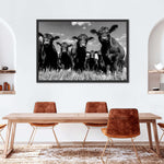 Monochrome Angus Cows Wall Art