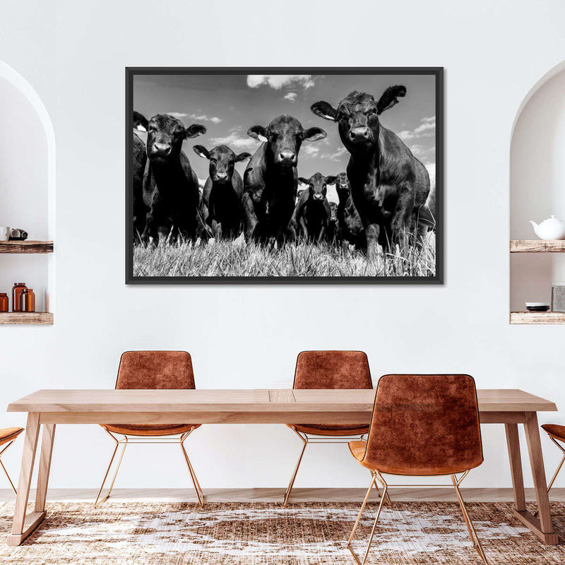 Monochrome Angus Cows Wall Art