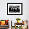 Monochrome Angus Cows Wall Art