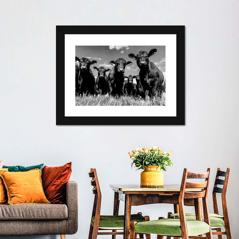 Monochrome Angus Cows Wall Art
