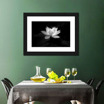 Lotus Flower Monochrome Wall Art