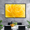 Yellow Rose Petals Wall Art