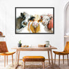 Livestock Cows Splash Wall Art