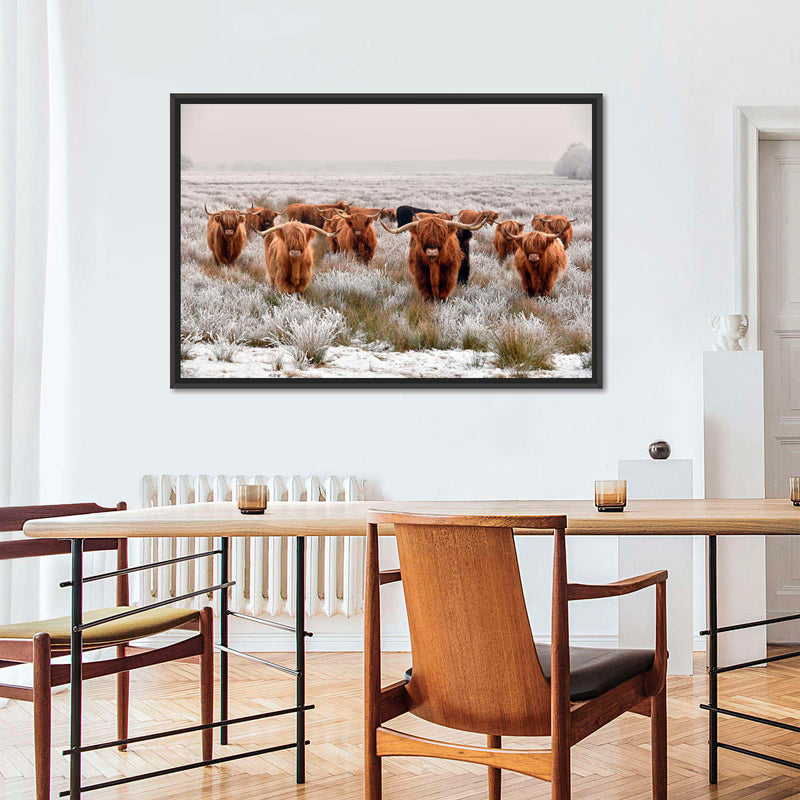 Winter Highland Cows Wall Art