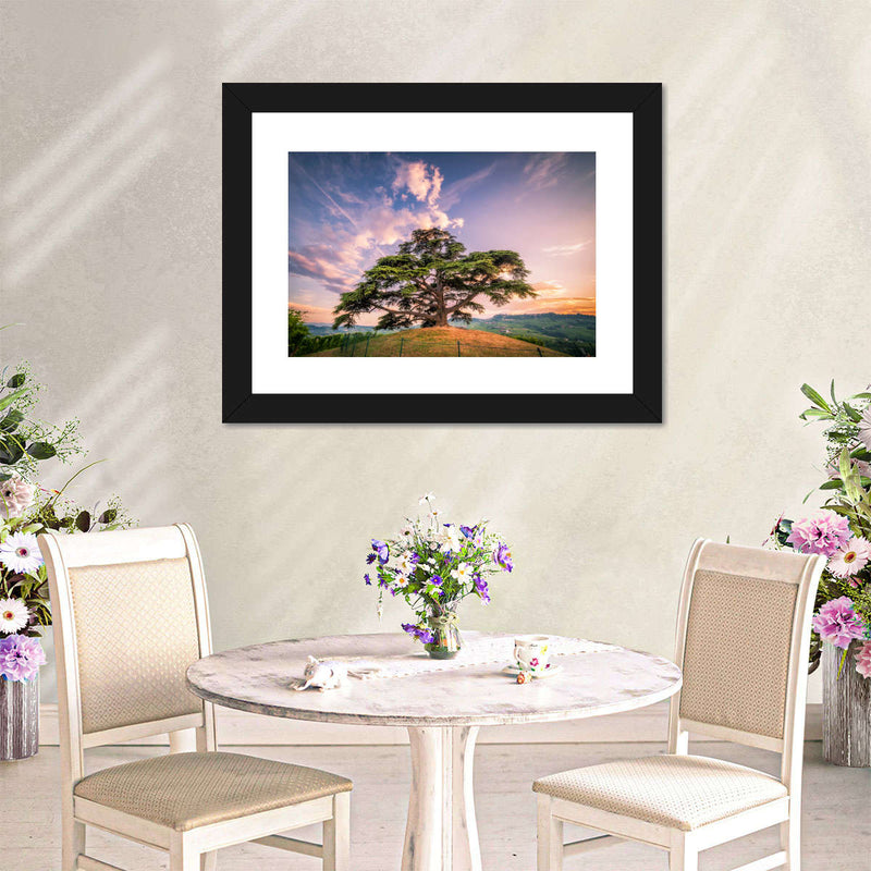 Majestic Cedar Of Lebanon Wall Art