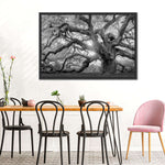 Monochrome Angel Oak Tree Wall Art