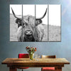 Solitary Highland Cow Wall Art