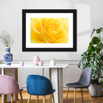 Yellow Rose Petals Wall Art