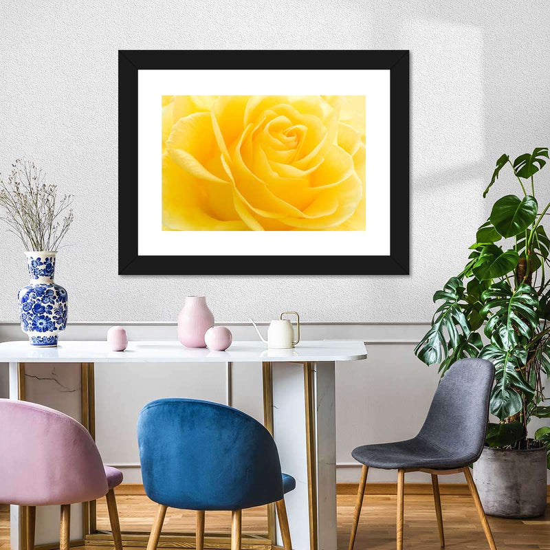 Yellow Rose Petals Wall Art