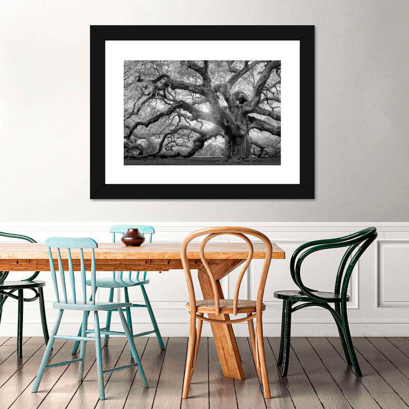 Monochrome Angel Oak Tree Wall Art