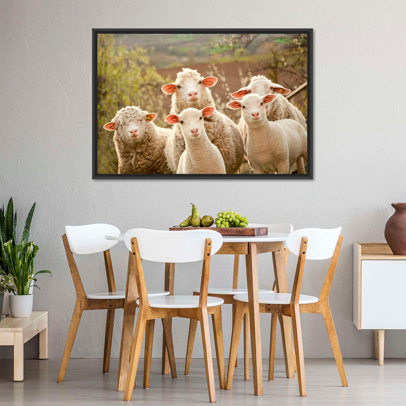 Stunned Sheep Wall Art