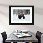 Winter Grizzly Bear Wall Art