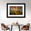 Swedish Birch Forest Wall Art