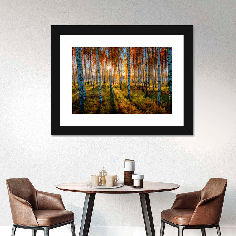 Swedish Birch Forest Wall Art