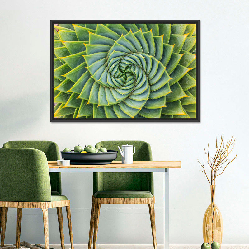 Spiral Succulent Wall Art