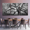 Monochrome Angel Oak Tree Wall Art