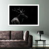 Monochrome Bull Elk Wall Art