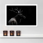 Monochrome Bull Elk Wall Art