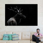 Monochrome Bull Elk Wall Art