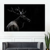 Monochrome Bull Elk Wall Art