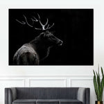 Monochrome Bull Elk Wall Art