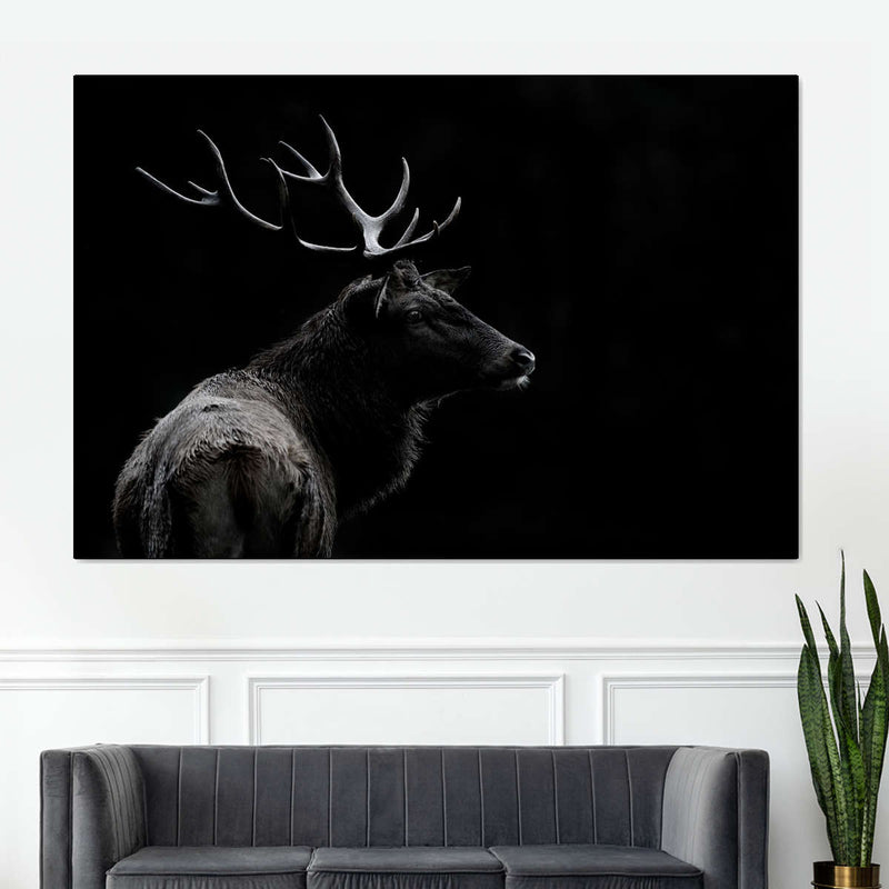 Monochrome Bull Elk Wall Art