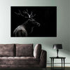 Monochrome Bull Elk Wall Art