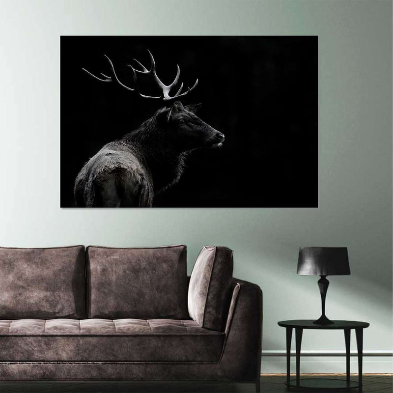 Monochrome Bull Elk Wall Art